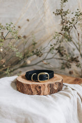 Dog & Pup Collar in Black - Saddler & Co - Saddler & Co | Australian Made Leather Goods