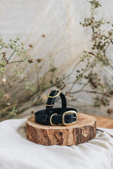 Dog & Pup Collar in Black - Saddler & Co - Saddler & Co | Australian Made Leather Goods