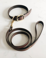 Dog & Pup Collar in Dark Brown - Saddler & Co - Saddler & Co | Australian Made Leather Goods